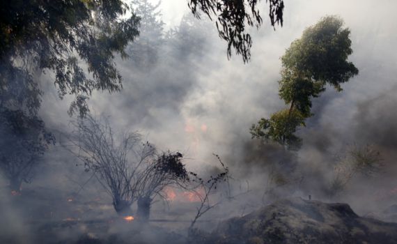 במשטרה מעריכים: השריפה בי-ם – הצתה מכוונת