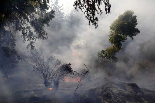 במשטרה מעריכים: השריפה בי-ם – הצתה מכוונת