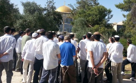 צפו: תפילה לשלום החטופים בהר הבית