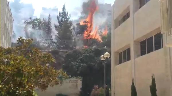 צפו: הלהבות שהשתוללו ליד 'מכון לב'