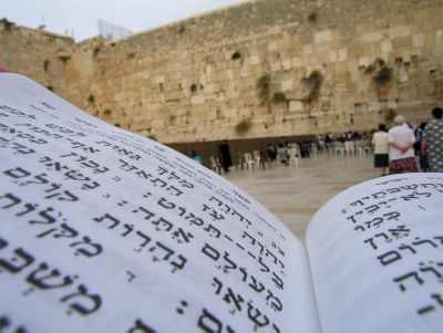 גולשי סרוגים אומרים תהלים לשלומם של שלושת החטופים