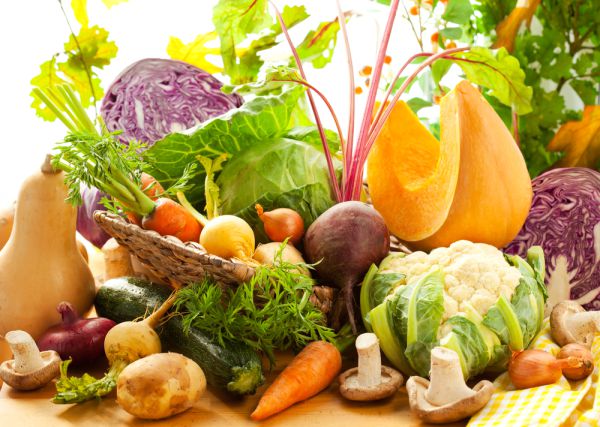 דעת הרב קוק הפוכה/ תגובה לרב מלמד