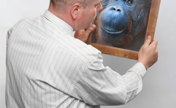 אבולוציה: בין עולם מנוהל לעולם מתנהל