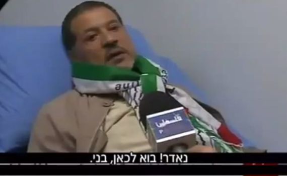 בנו של אבו מאזן: "נחזור לצפת שבפלסטין"