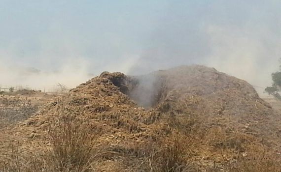 חמי עזה? פתח המנהרה חשף גייזר עשיר בגפרית