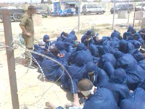 החמאס נכנע? 150 פלסטינים הסגירו עצמם לצה"ל