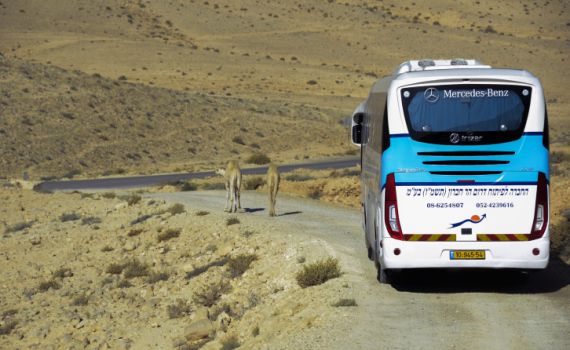 מי יממן את מיגון האוטובוסים ביו"ש?