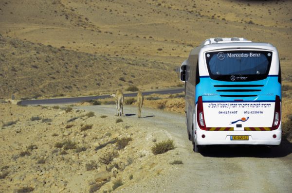 מי יממן את מיגון האוטובוסים ביו"ש?