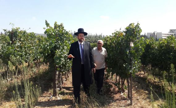 שמיטה בפתח: הרב דוד לאו עם החקלאים