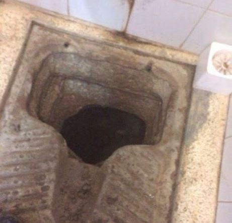 אסירים בטחוניים חפרו מנהרה בשירותי הכלא