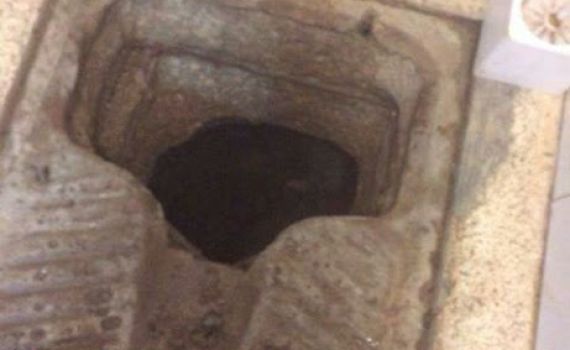 אסירים בטחוניים חפרו מנהרה בכלא גלבוע