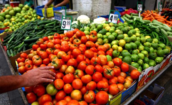 הרב אבינר: אוצר בית דין או היתר מכירה?