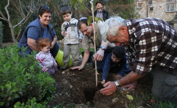 שימו לב: איסורי השמיטה מתחילים מחר בערב