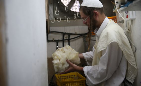 ההרוג בפיגוע: אברהם וואלעס בן 29 מירושלים