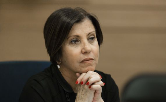 גלאון מאגפת מימין: "ביבי חלש מול אלימים"