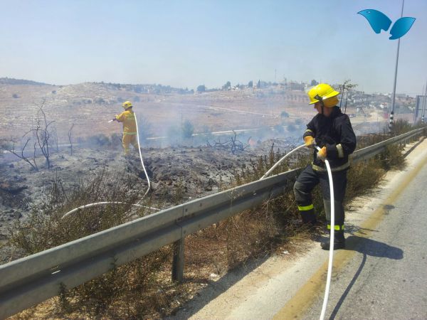 טרור הצתות, אבנים ובקבוקי תבערה בגוש עציון