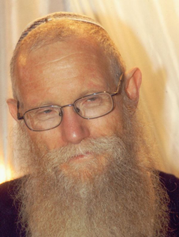 הרב אלעזר נאה: שו"ת חרדים והציונות הדתית