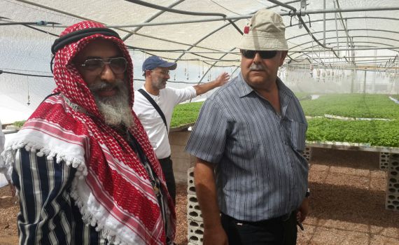 המסתערבים של המגזר החרדי בירדן