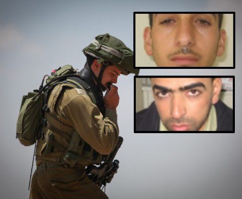 "גופות החוטפים תמורת גופות גולדין ושאול"