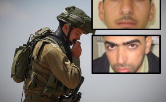 "גופות החוטפים תמורת גופות גולדין ושאול"