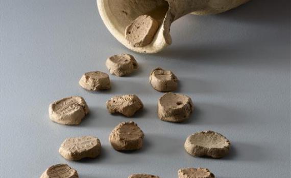 הישן יתחדש: מוזיאון ארכיאולוגי עולה לרשת