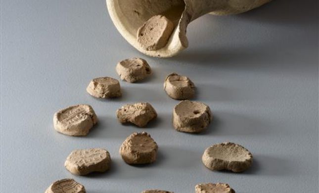  הישן יתחדש: מוזיאון ארכיאולוגי עולה לרשת