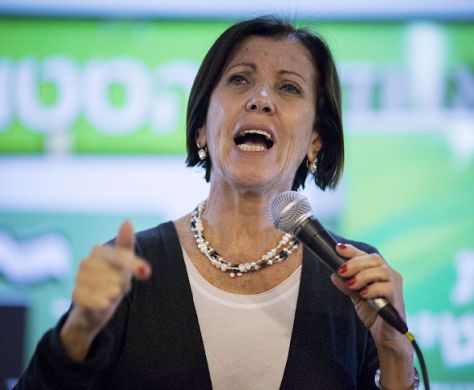 גלאון: חקירת צוק איתן – קריקטורה של חקירה