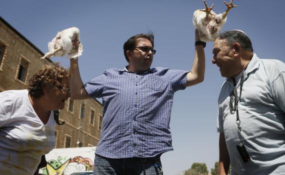 אל תלעיזו: אין צער בעלי חיים במנהג הכפרות