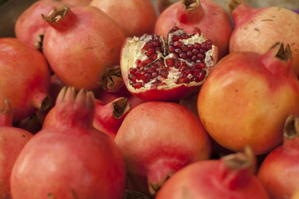 סימני ראש השנה: איך לבדוק אותם מחרקים?