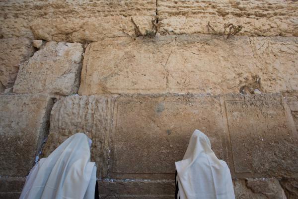 בשורה טובה: מזג האוויר ביום כיפור – נוח