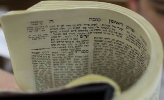 גולשי סרוגים לומדים את הדף היומי