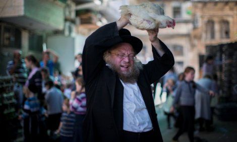 רבני צהר נגד כפרות על תרנגולים: נגרם להם סבל