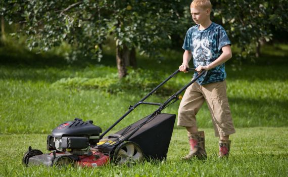 מבולבלים? מדריך שמיטה מקוצר לגינה הפרטית