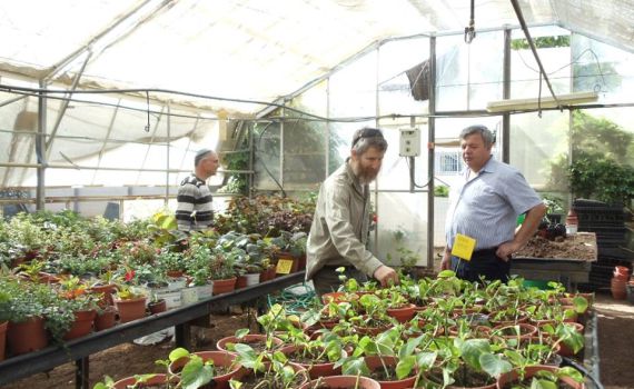 בקרוב במערכת החינוך: לימודים מעשיים להכרת השמיטה