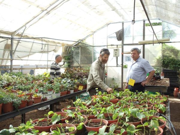 בקרוב במערכת החינוך: לימודים מעשיים להכרת השמיטה