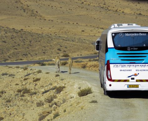 משרד החינוך פועל לפתירת בעיית הטרמפים ביו"ש