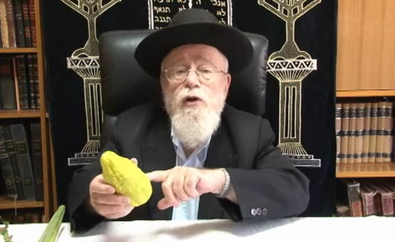 כיצד לבחור את ארבעת המינים?