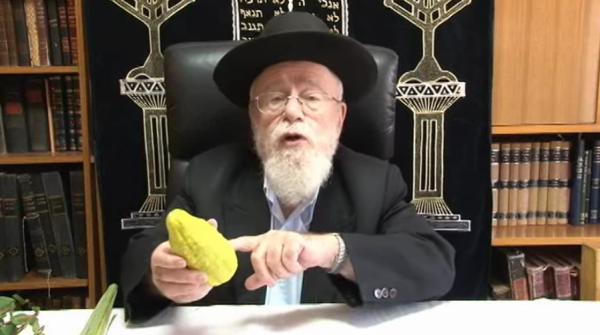 כיצד לבחור את ארבעת המינים?