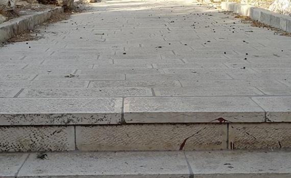 ברלין זה כאן: ערבים ריססו צלב קרס בהר הבית