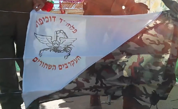 צפו: סוכה מוארת ומנומרת