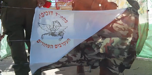 צפו: סוכה מוארת ומנומרת