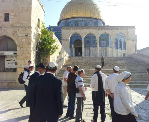 כצפוי: הר הבית נסגר למבקרים ולמתפללים
