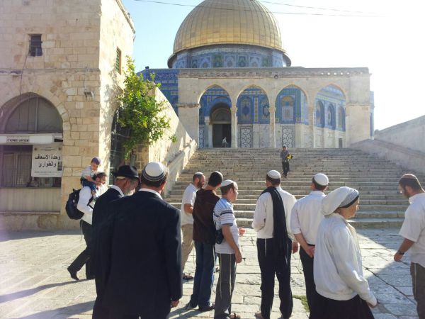 גלריה: הר הבית נפתח היום לכניסת יהודים