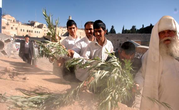 לזרוק את הערבות על ארון הקודש? שו"ת הושענא רבה