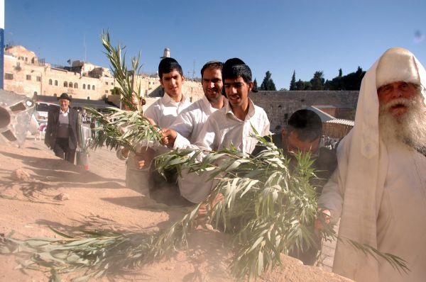 לזרוק את הערבות על ארון הקודש? שו"ת הושענא רבה