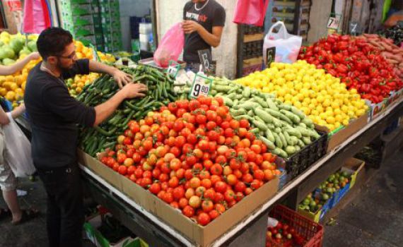 המשנה ליועץ המשפטי נגד הרב הצבאי: יפגע בחקלאות הישראלית‬