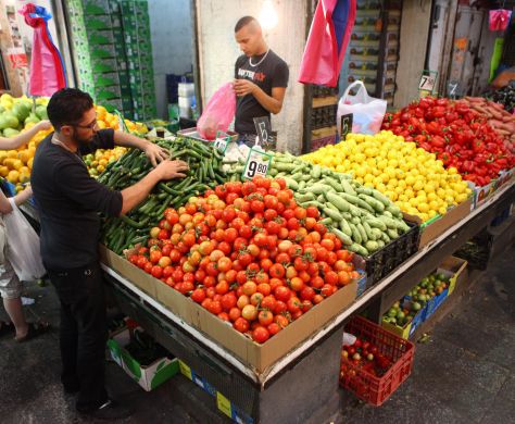 המשנה ליועץ המשפטי נגד הרב הצבאי: יפגע בחקלאות הישראלית‬