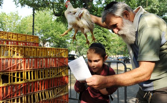 השר פרץ:"מתעללים בתרנגולות שלא לצורך"