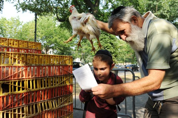 השר פרץ:"מתעללים בתרנגולות שלא לצורך"