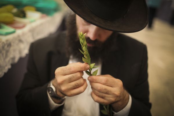 ולקחתם: ירושלים מתכוננת לסוכות > תיעוד